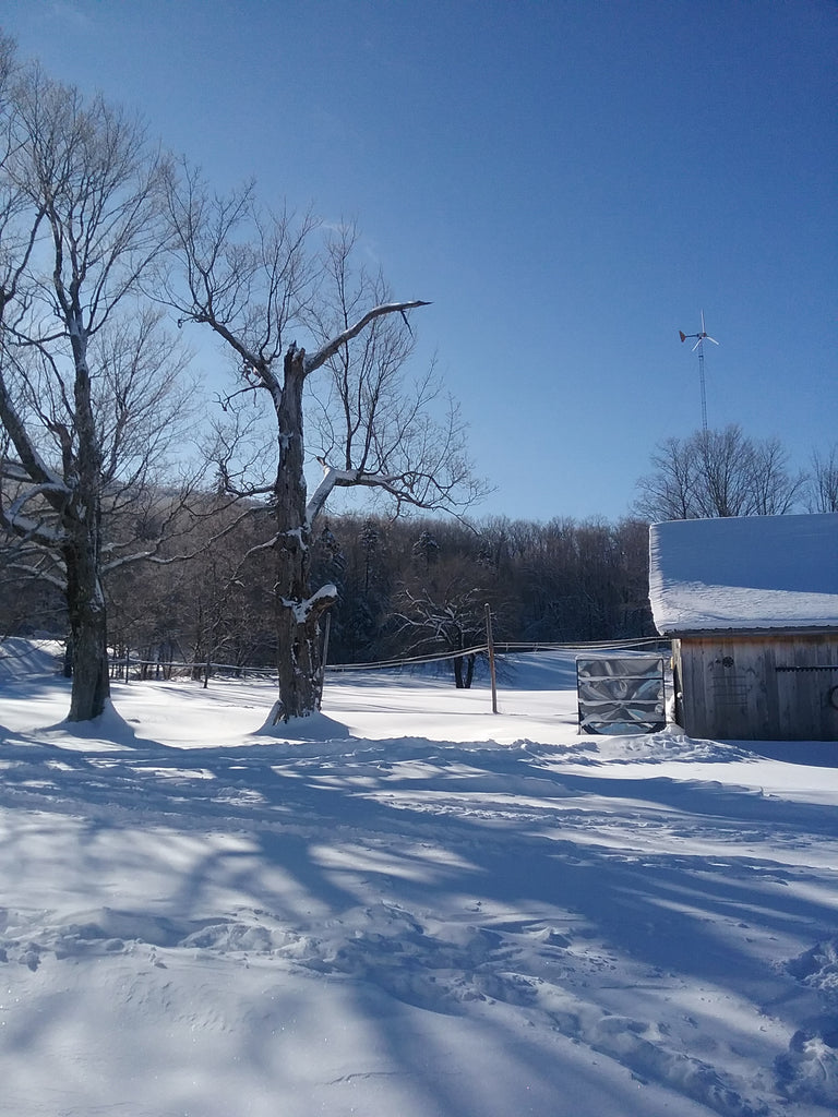 A Cold Snap
