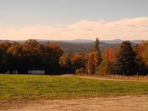 Remembering autumn....