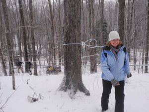 Out in the Woods