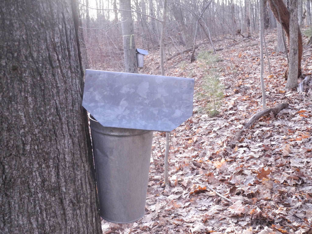 Maple syrup at a small-scale!