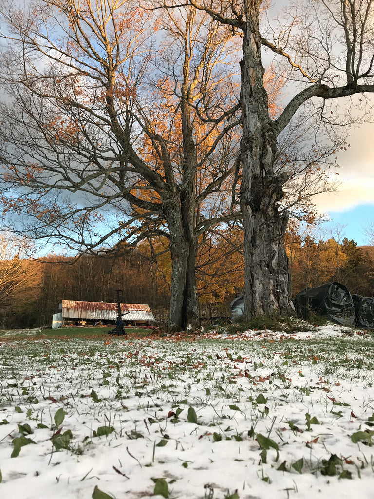 And Now November....